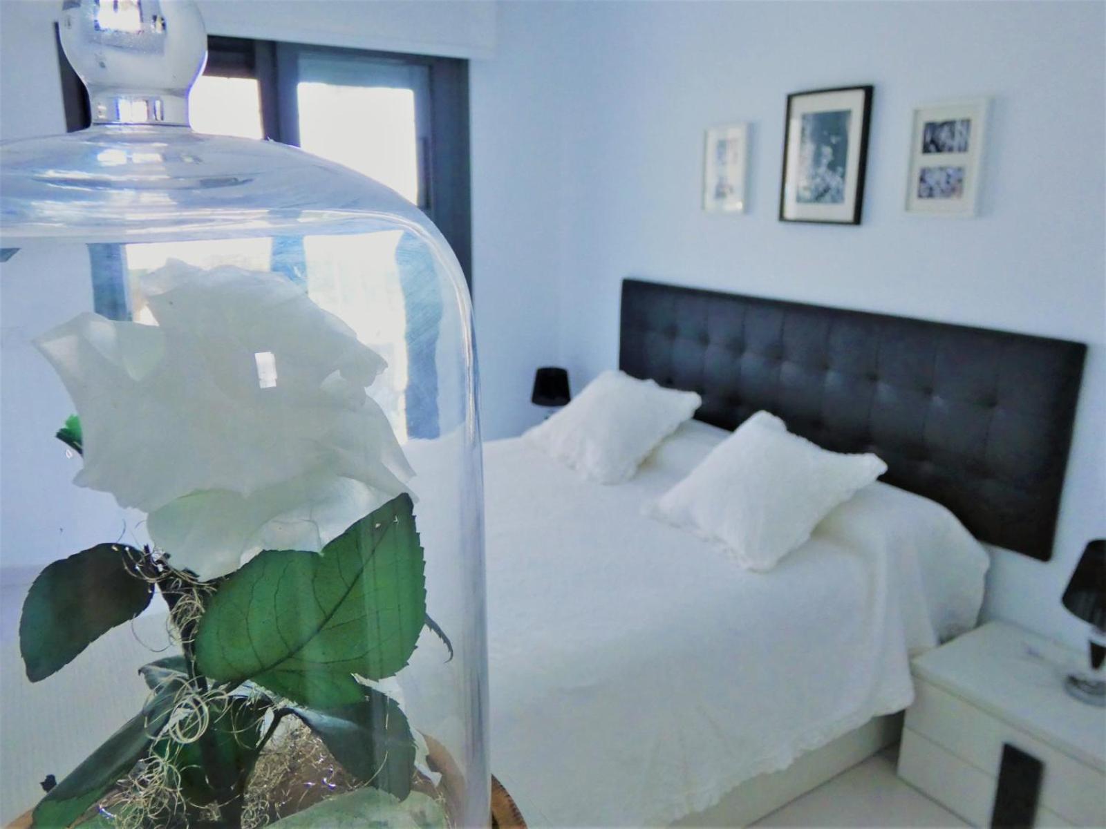 Ocean View Apartment 阿勒纳勒斯德尔索尔 外观 照片